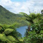 Ms Traveling Pants New Zealand