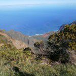 Ms Traveling Pants Kauai - Waimea Canyon and ocean