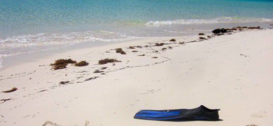 Still on Island Time – Cruising in the Abacos, Bahamas