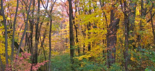 Autumn Landscape Massachusetts