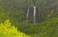Opaeka’a Falls Kauai