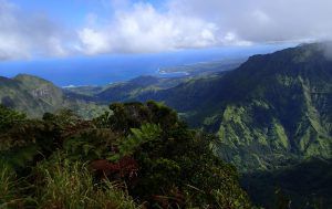 Kilohana_Lookout_Alakai_Swamp_Trail_Kauai_Hiking
