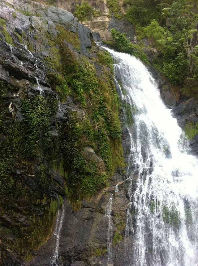 Stony_Creek_Waterfall_on_Kuranda_Train
