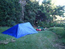 Campsite_Kokee_State_Park_Kauai_by_Heidi_Siefkas