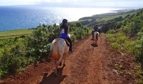 Heidi_Siefkas_Trail_Ride_Mendes_Ranch_Maui