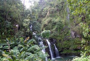Waterfalls_along_the_road_to_Hana_Maui_Trave