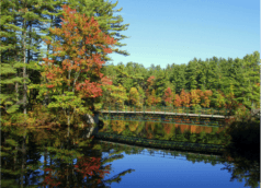 New_Hampshire_Fall_Image