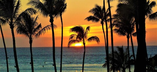 Best of Maui Travel Tips